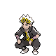 trainer